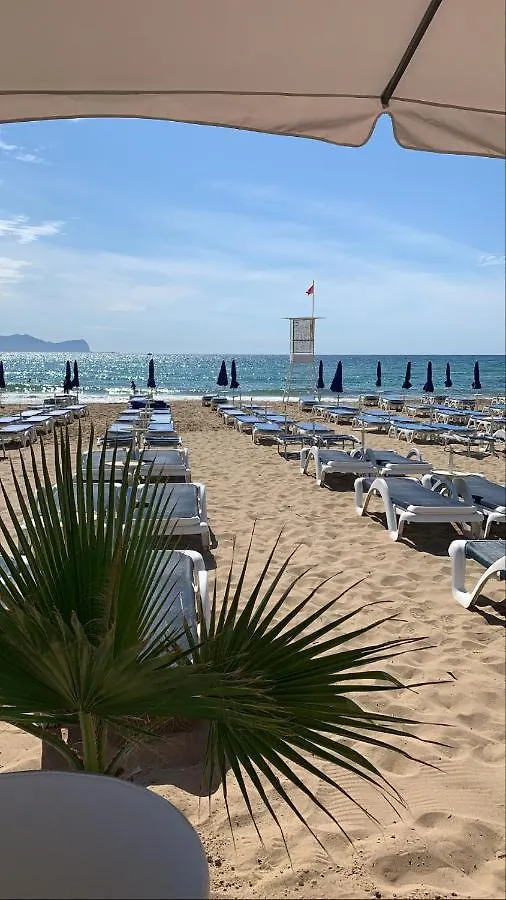 Appartamento location